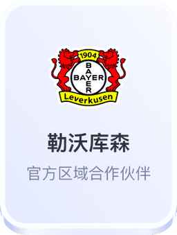 开云体育勒沃库森官方合作伙伴
